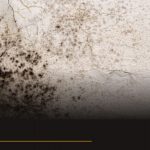 council housing disrepair claim for leaks damp and mould in Croydon flat