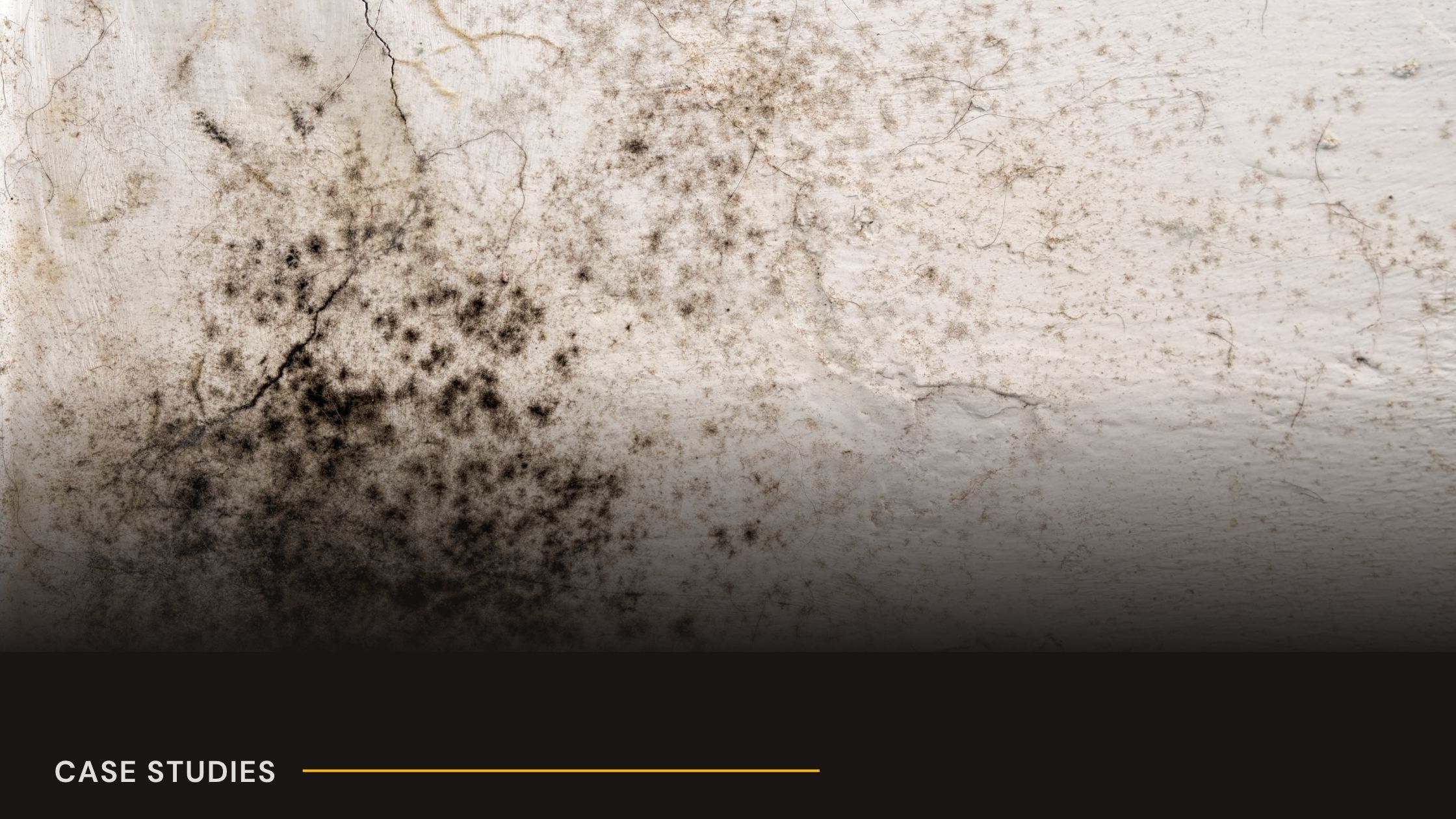 council housing disrepair claim for leaks damp and mould in Croydon flat