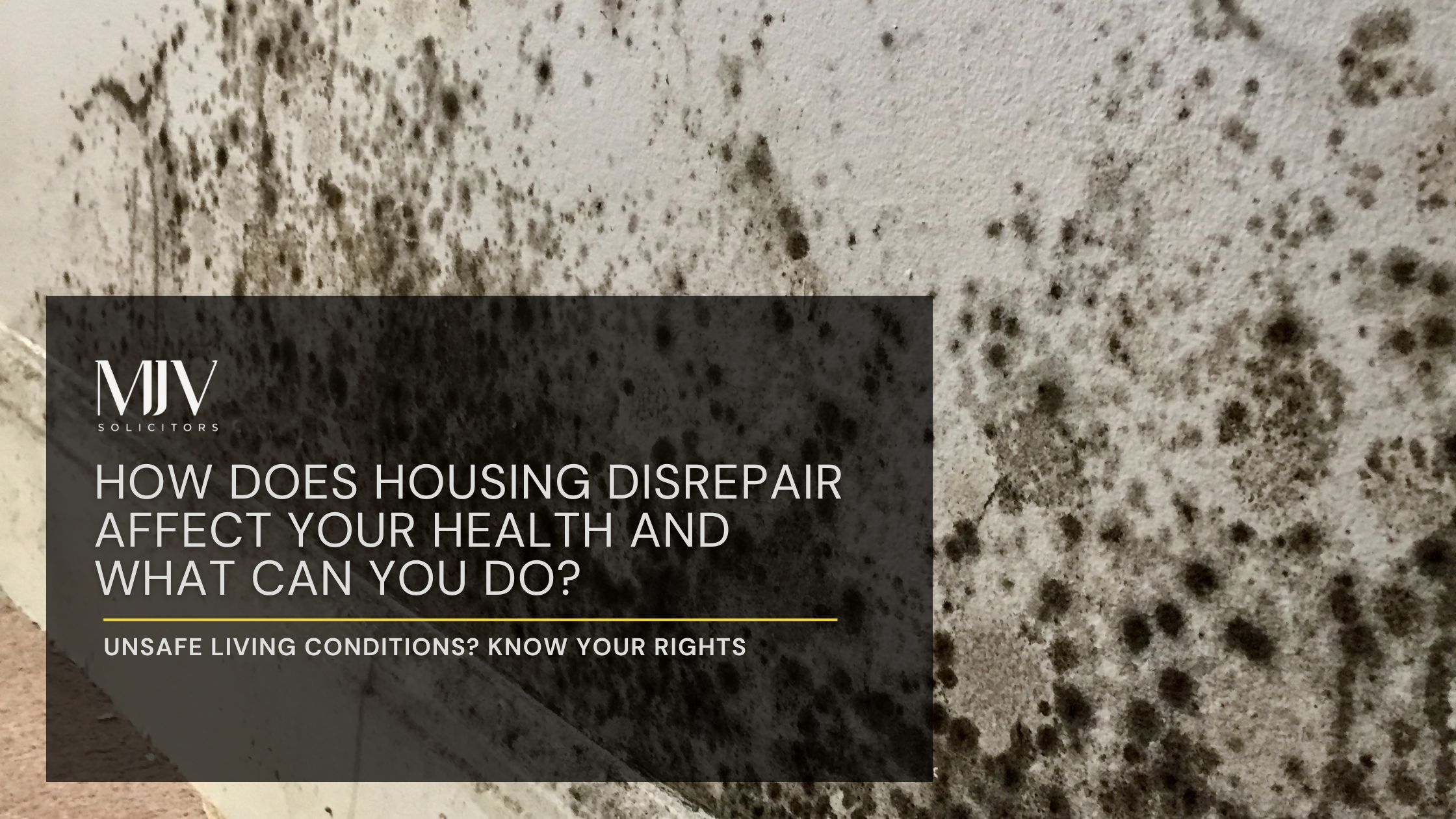 How Does Housing Disrepair Affect Your Health and What Can You Do?