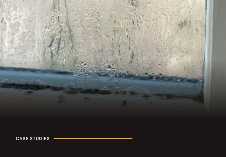 Damp, Mould and Draughty Windows in Maidstone Flat: Tenant Wins £2,250 in Compensation