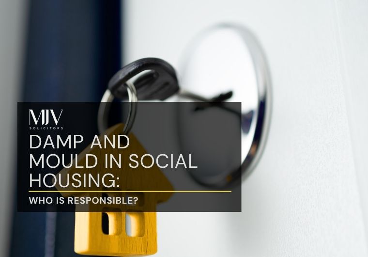 Damp and Mould in Social Housing: Who Is Responsible?