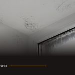 Housing Conditions Claim Against Local Authority Landlord