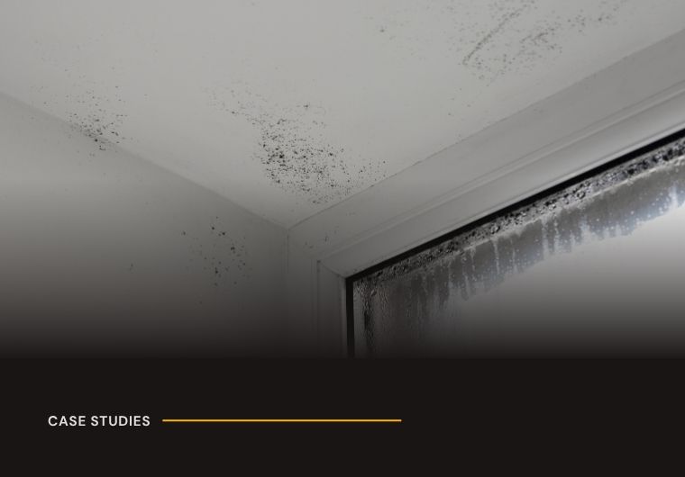 Housing Conditions Claim Against Local Authority Landlord