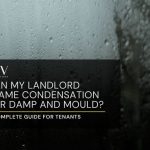 Can My Landlord Blame Condensation for Damp and Mould? A Complete Guide for Tenants