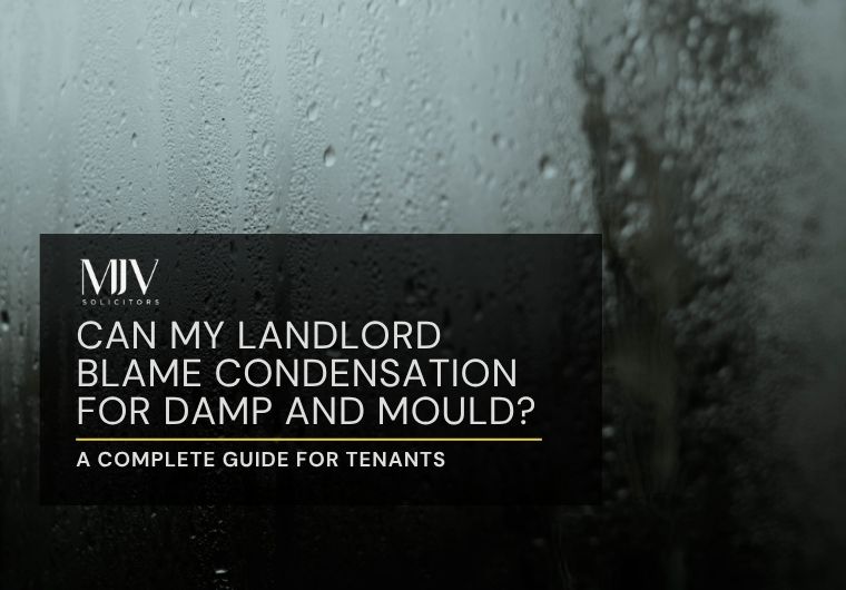 Can My Landlord Blame Condensation for Damp and Mould? A Complete Guide for Tenants