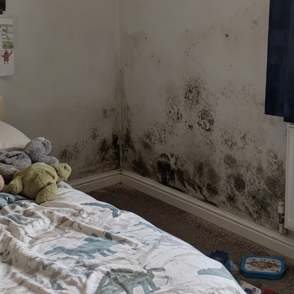 Damp and mould damage inside a rented property